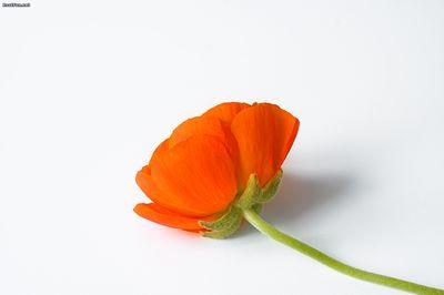 farra_fann's profile picture. ♡ cukup Allah swt bagiku ♡