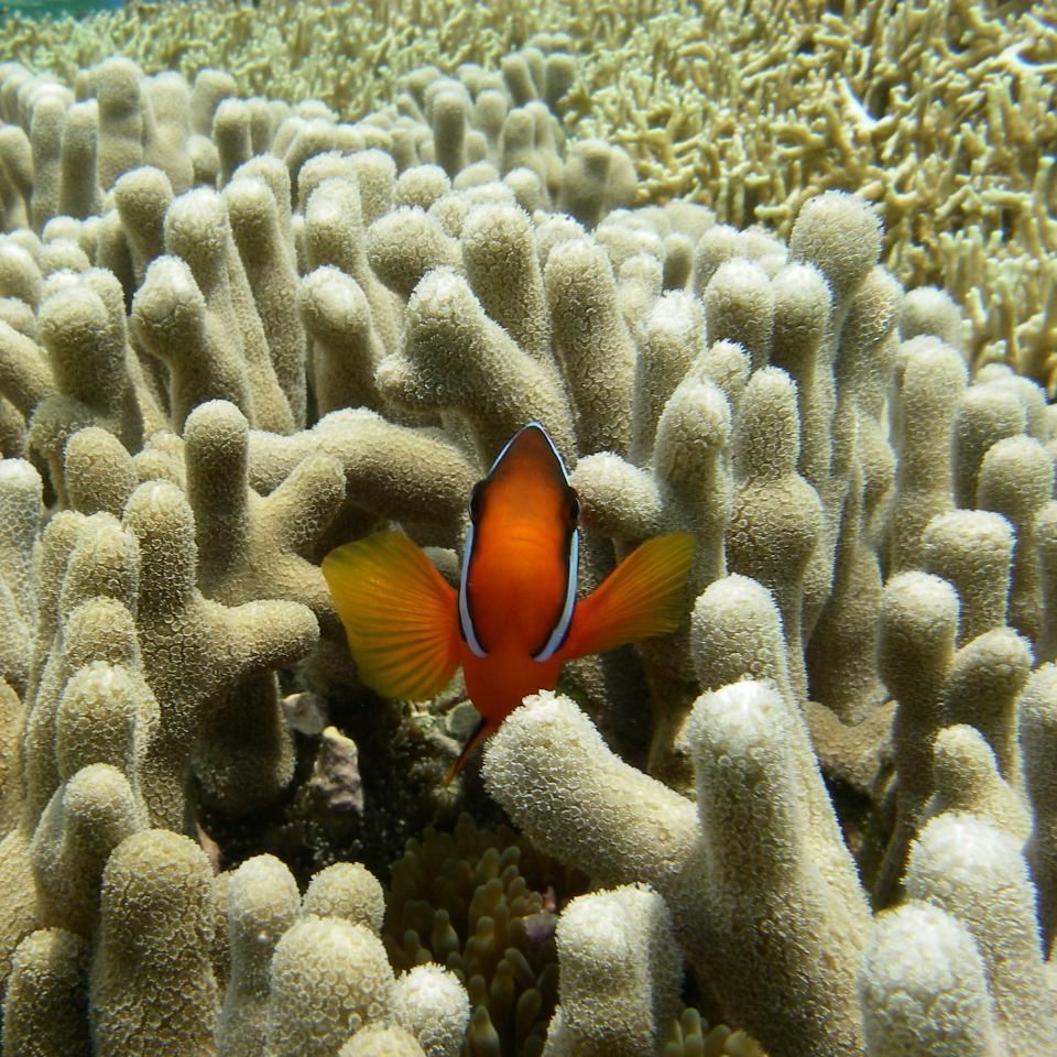 masa3masa3masa's profile picture. 都内で一人暮らしをしていて、日々チャレンジしています。AI起業準備中。スポーツはバレーボール、テニス、野球、フットサル、バスケなど。また、ひとり旅が好き。最近は行けてないですが旅行や美味しいものが大好きで、突然旅に行くかもしれない。地方に住みたいけど何処がいいかな。