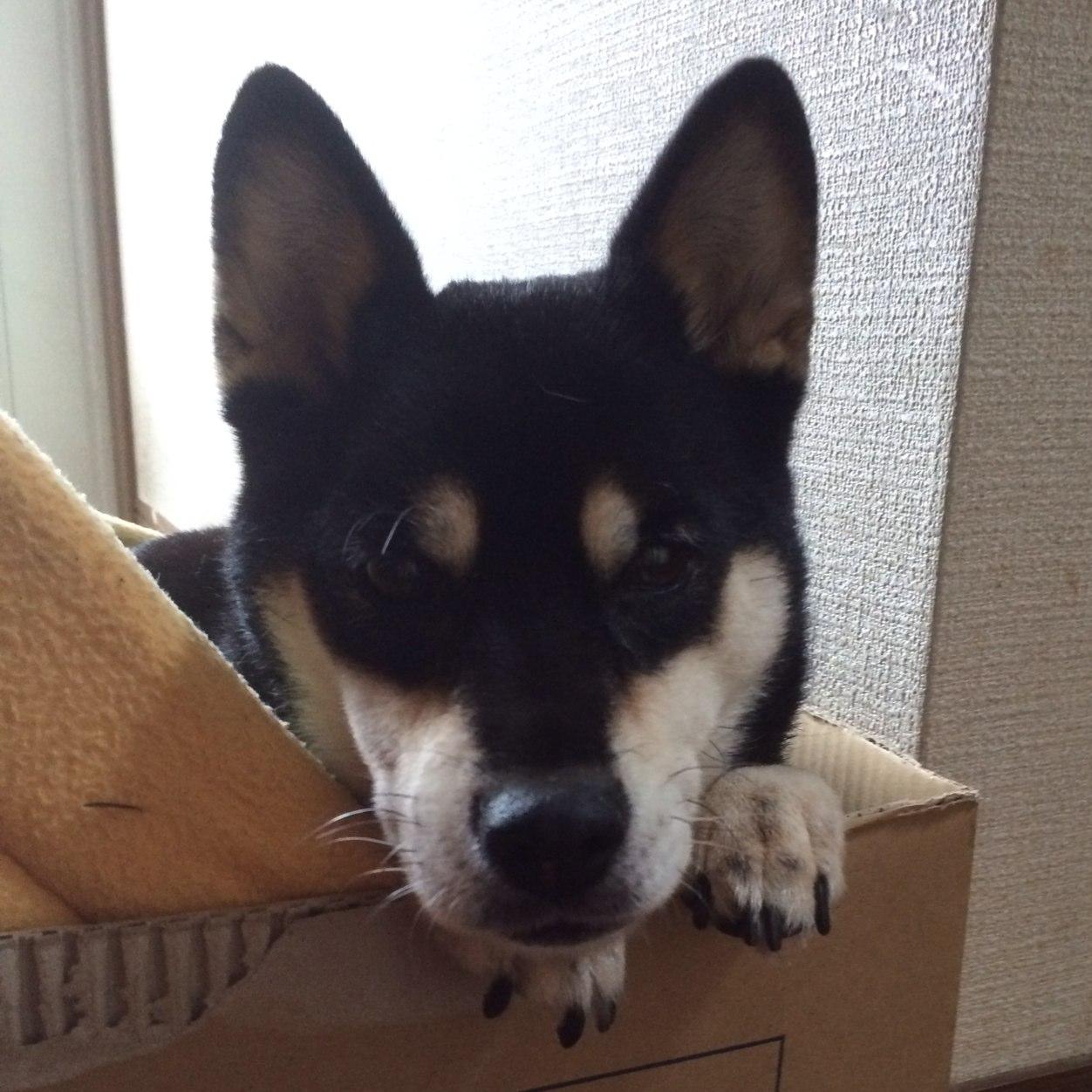 Koheyさんのプロフィール画像