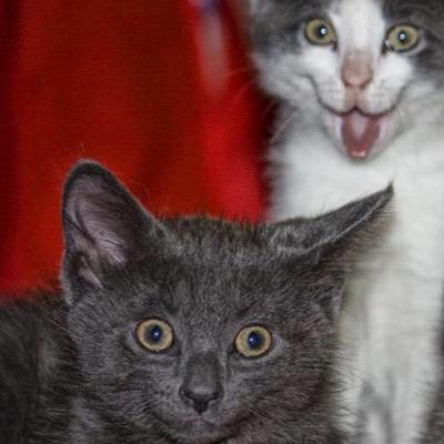 love that good pussy