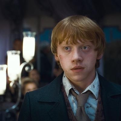 Friends with Harry and Hermione. Defeated Voldemort. Has a very big family and is funny sometimes. (RP any year/ also is Bi and any ship)