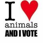 Azara1Voice's profile picture. azara1voice@gmail.com #AZ #AnimalWelfare laws are inadequate & need to be strengthened #Gilbert23