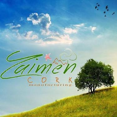 zaimencork's profile picture. 