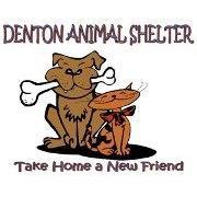 The Denton Animal Shelter is a temporary home to lost,unwanted & stray animals until they find their Furrever family.