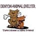 DentonAnimalServices (@dentonshelter) Twitter profile photo DentonAnimalServices (@dentonshelter) Twitter profile photo
