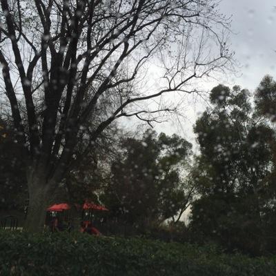 MPKCivicLife's profile picture. 