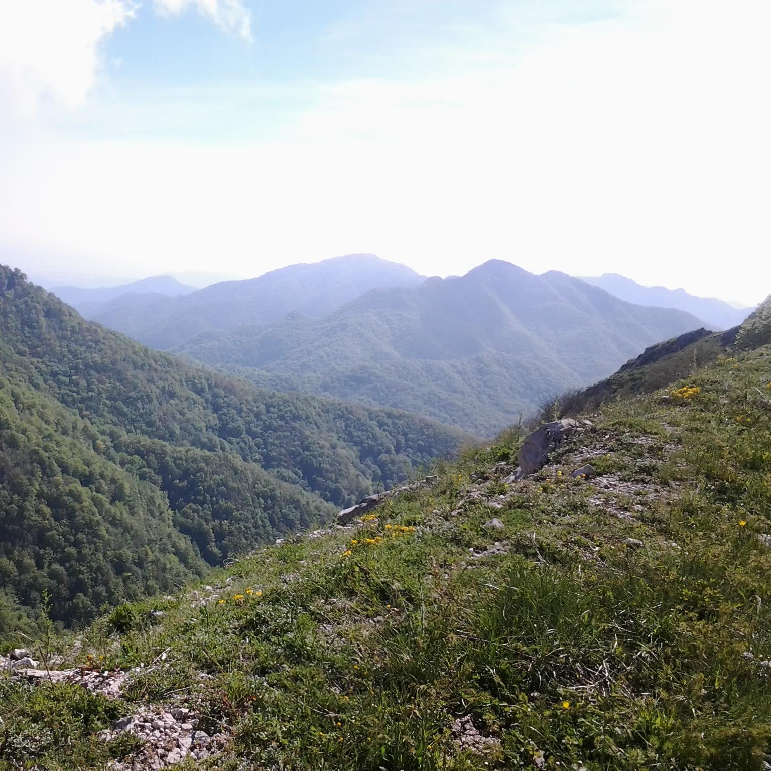 AlbyMoscari's profile picture. 