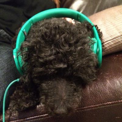 amoore2002_andy's profile picture. When life gives you lemons you trade them for cash... or you know... make lemonade