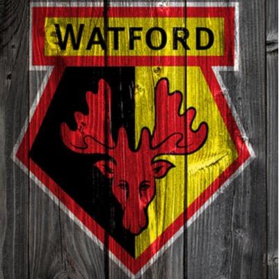 lives in Falmouth cornwall..... born in Watford.. and a massive WFC fan!! WFC4EVA... works in security at Cornwall Airport Newquay
