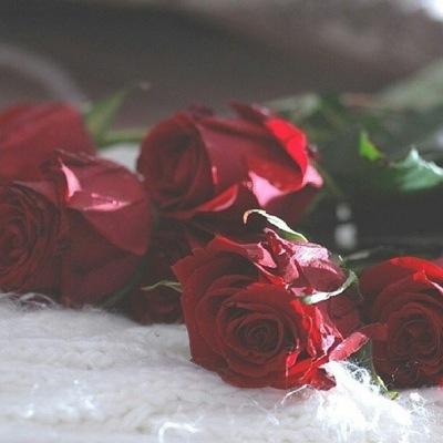رضا الله ووالدي هما غايتي بالحياة.... مصممه .. أجعل من الكلمة روحاً وبلسماً ..