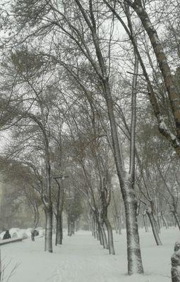 kalbinin sesini dinle