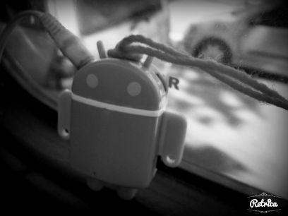 roraima252's profile picture. 