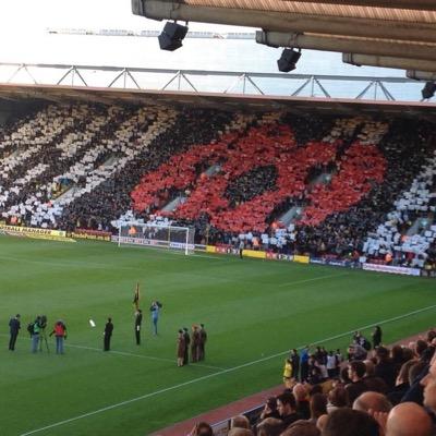 philip1602's profile picture. im a bit simple, i drink real beer, watford fc supporter