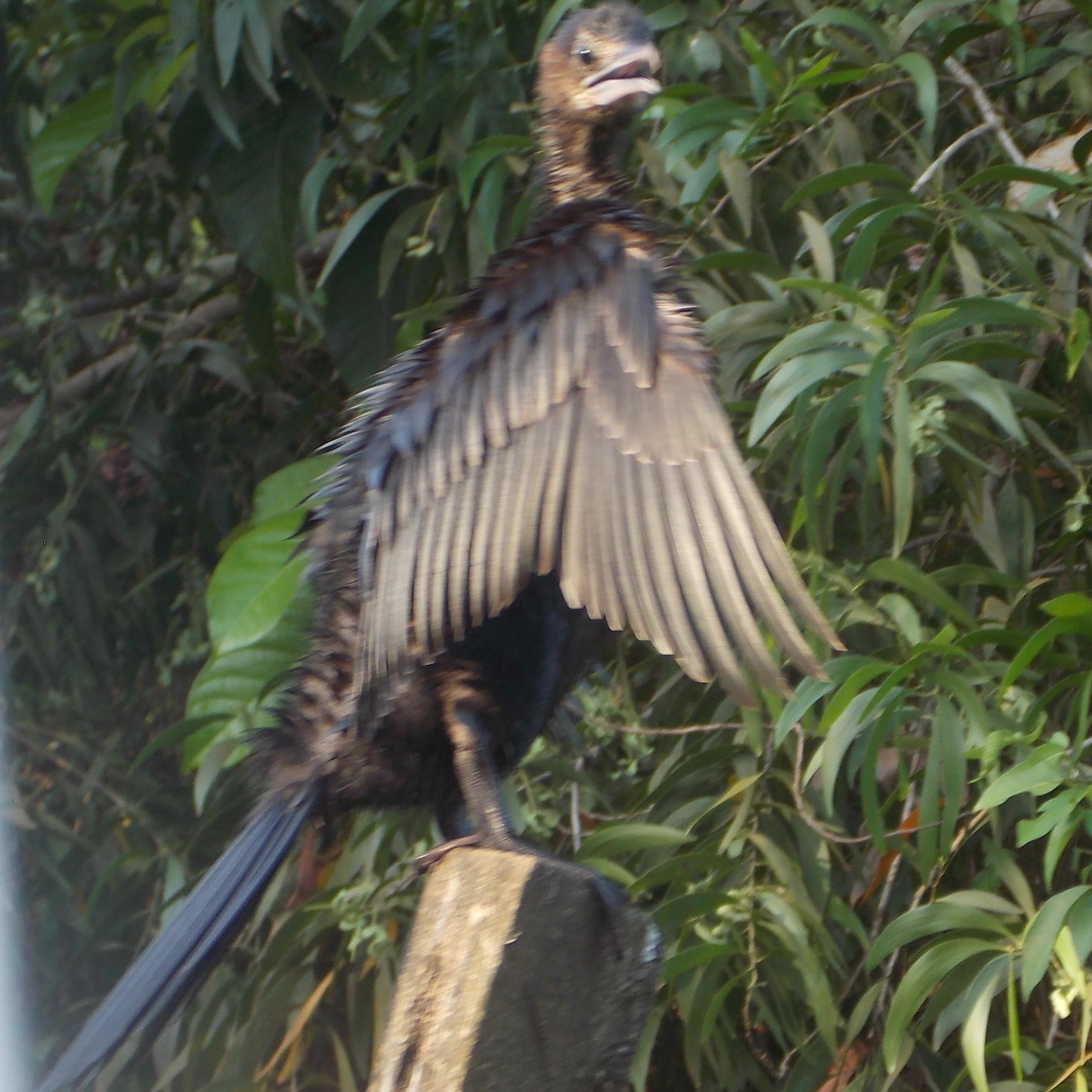 r_hulu's profile picture. 