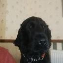 veronica hamilton - @westlife06 - Twitter