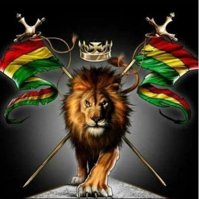 dubwise_ca's profile picture. 