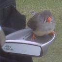 Craig Poole - @craigpoole18 - Twitter