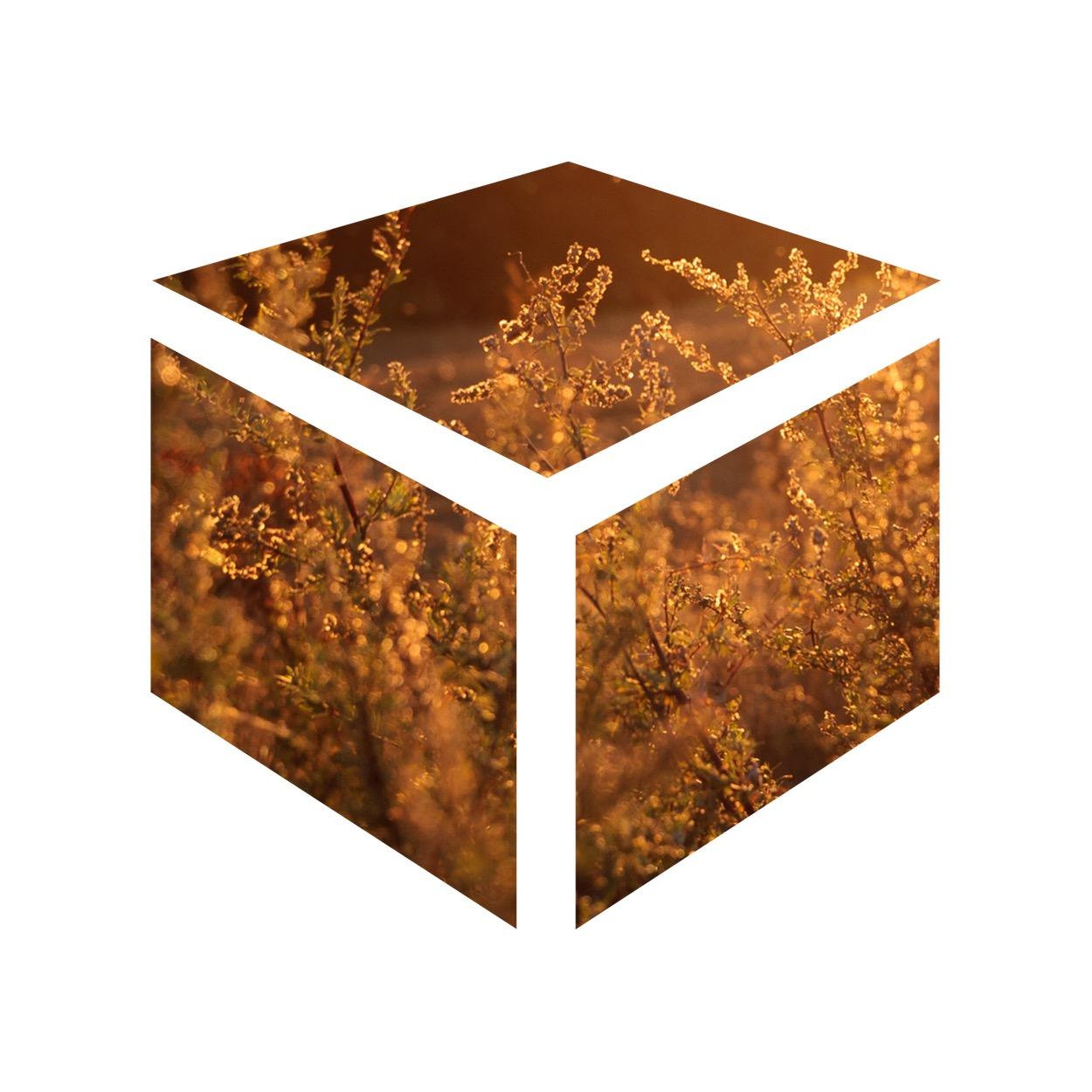 A blog that aims to encourage thoughtfulness every day.