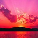 New Sohel (@13d27d995c0f436) Twitter