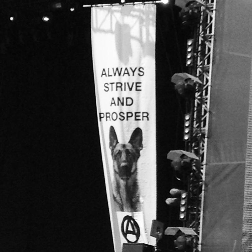 TripleAReviews's profile picture. The word on the most recent Hip-Hop releases. From F to Triple A