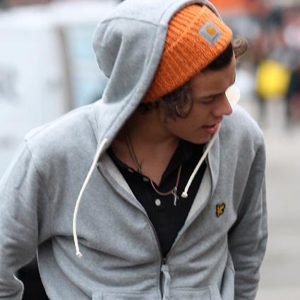 ♥ Sou apenas mais um BoyDirectioner que apenas deseja a 1D ...→was a very funny house had no roof, had nothing ...← ♥