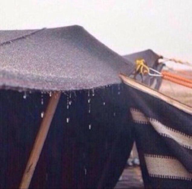 mhna441's profile picture. 