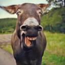 Segundo Gerardo - @SegundoGerardo3 - Twitter