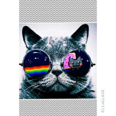 AzzaHector's profile picture. 