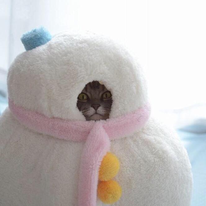 sup?