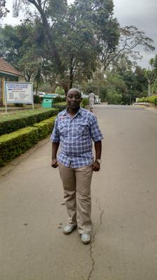 Bachelors of Economics (UoN),  DPIT(JKUAT)