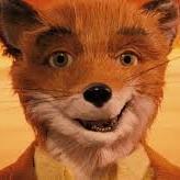 Mr Fox Uruguay (@mrfoxuruguay) 's Twitter Profile