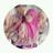 lisfiatin_'s profile image