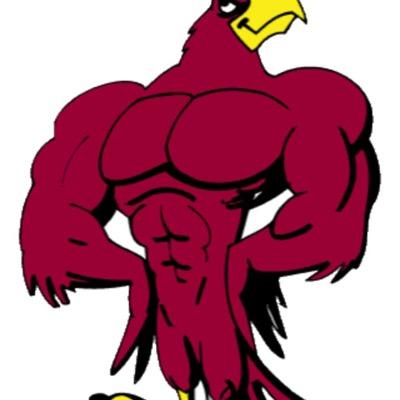 Let's Go Falcons!