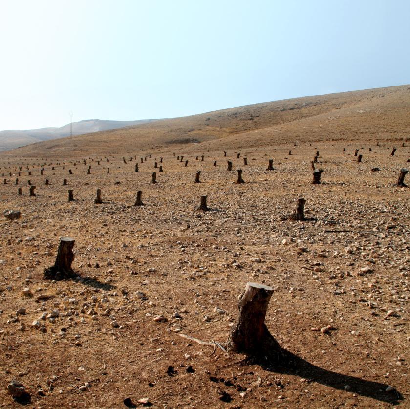 Le meraviglie meno conosciute di Israele. The lesser-known wonders of Israel.  #Expo2015