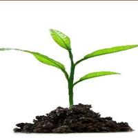 selfempowermentwithp (@selfempowerment) 's Twitter Profile