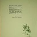 Not Shawn Stratton - @YaBoyCarpeDiem - Twitter