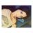 lorenacg95's profile image
