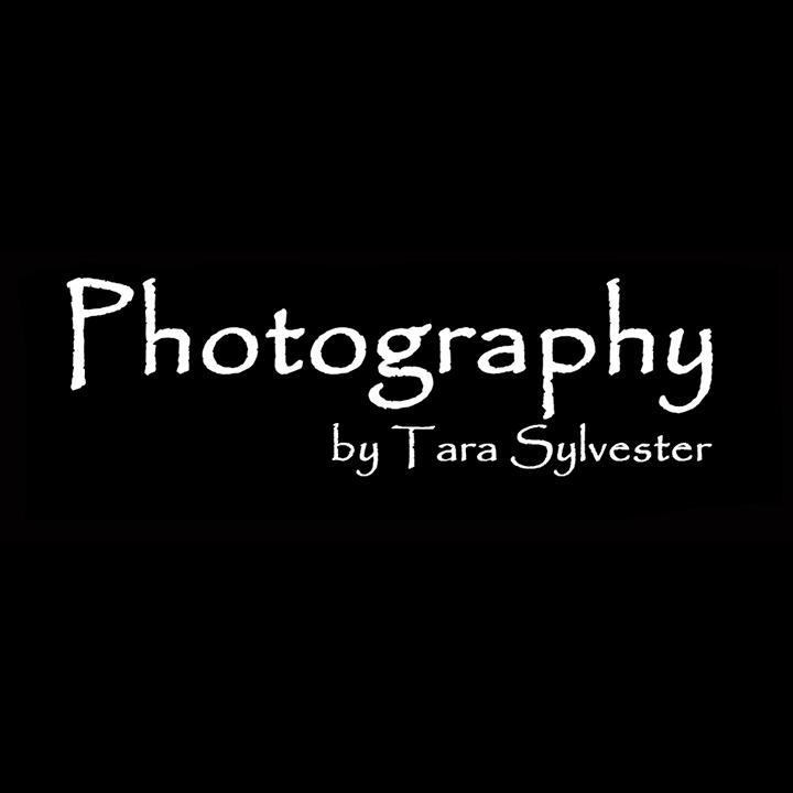 PhotoTSylvester's profile picture. Wife ~ Mother ~ Photographer Park City ✈️ California tarasylvesterphotographypc@gmail