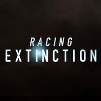 Racing Extinction (@racingxtinction) 's Twitter Profile
