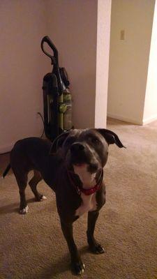 Flip4ItAll's profile picture. 