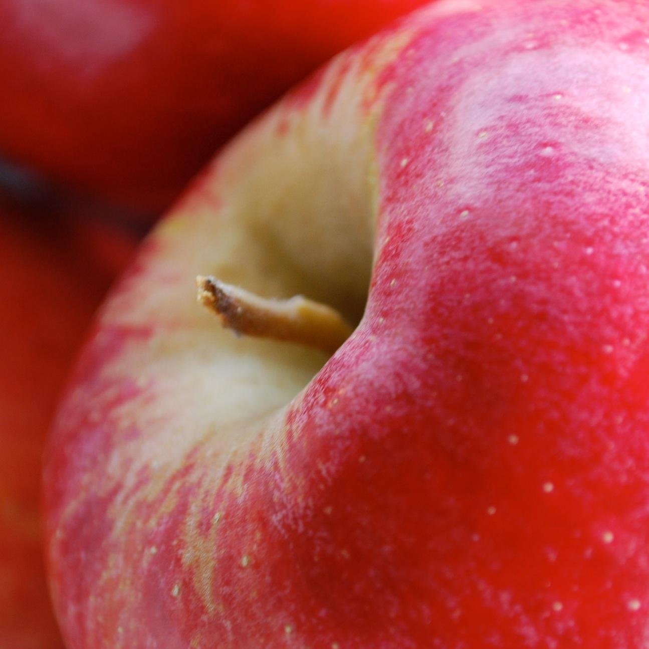 It's not just the SIZE, it's the FLAVOUR.  Award winning orchard located in the Beaver Valley.