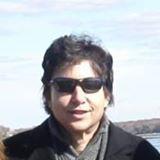 JCDolce's profile picture. 