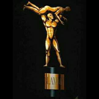 Who's ready for the Slammies? Vote on categories for your favorite roleplays and see who wins the trophy!