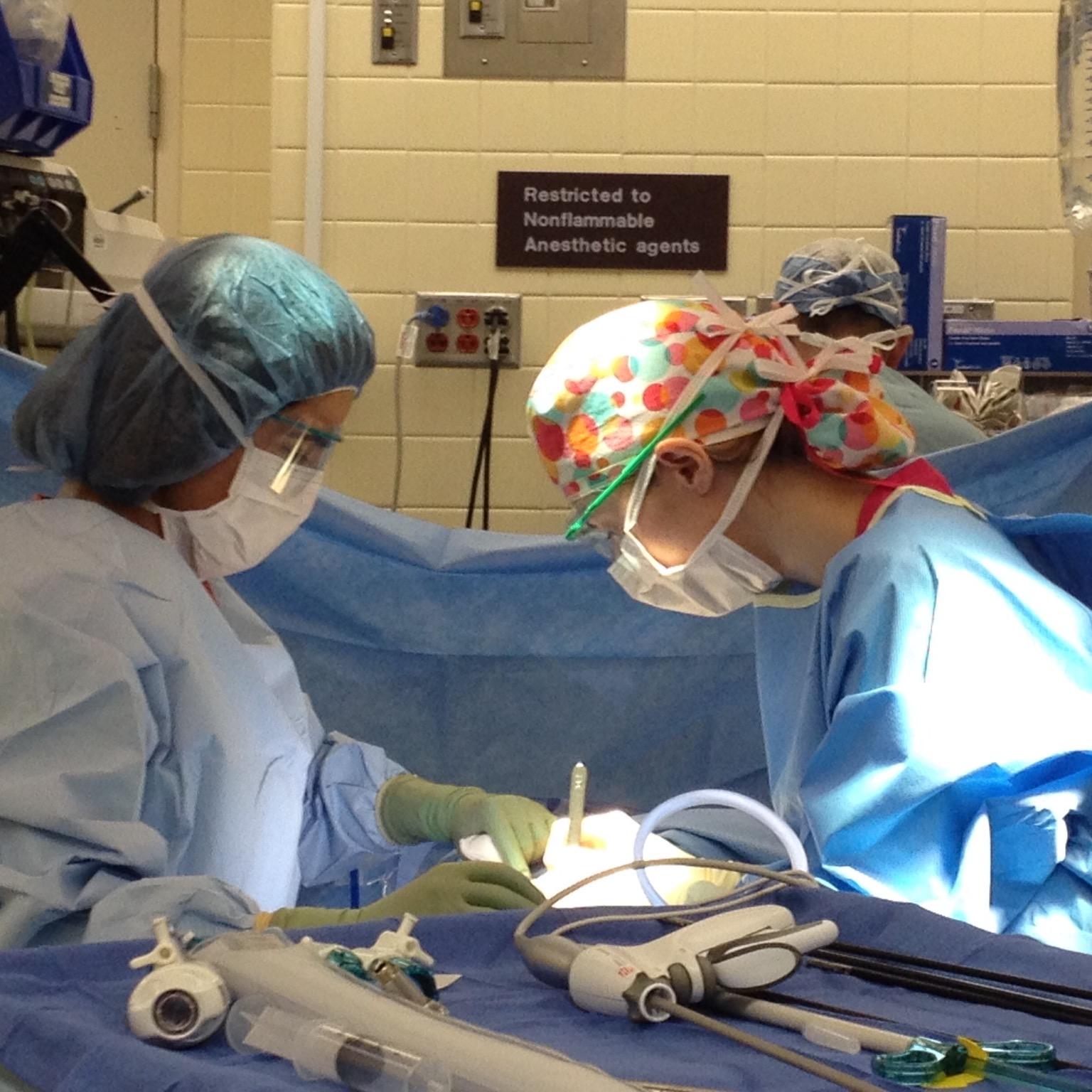 Surgeon | Wife | Mother | Honey Badger