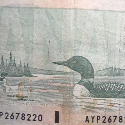 krispjordanray's profile picture. I got twitter now