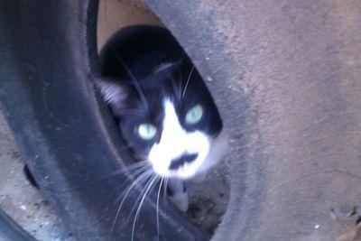 lidiavelez224's profile picture. 