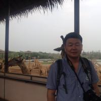 zoljargal (@zoljargalbavuu) 's Twitter Profile