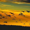 Mark Rehm - @campercitymayor - Twitter