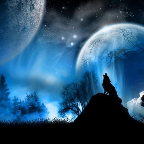 NiTeTiiMe's profile picture. Im a 14 year old cod player trying to start up a YouTube  and looking for a team. I snipe And trickshot. Hit me up if you need players.