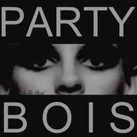 Party Bois (@thepartybois) Twitter profile photo